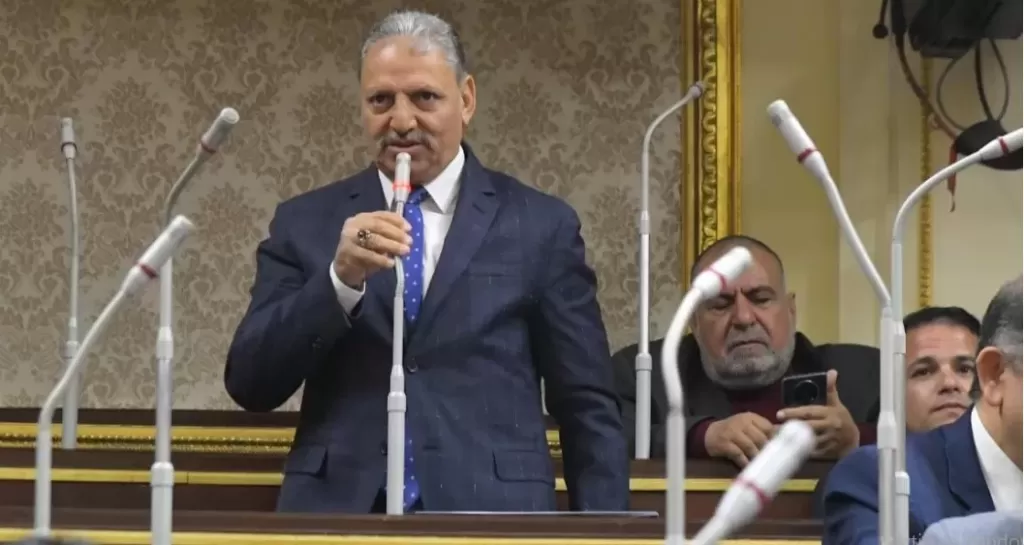 إبراهيم المصرى 