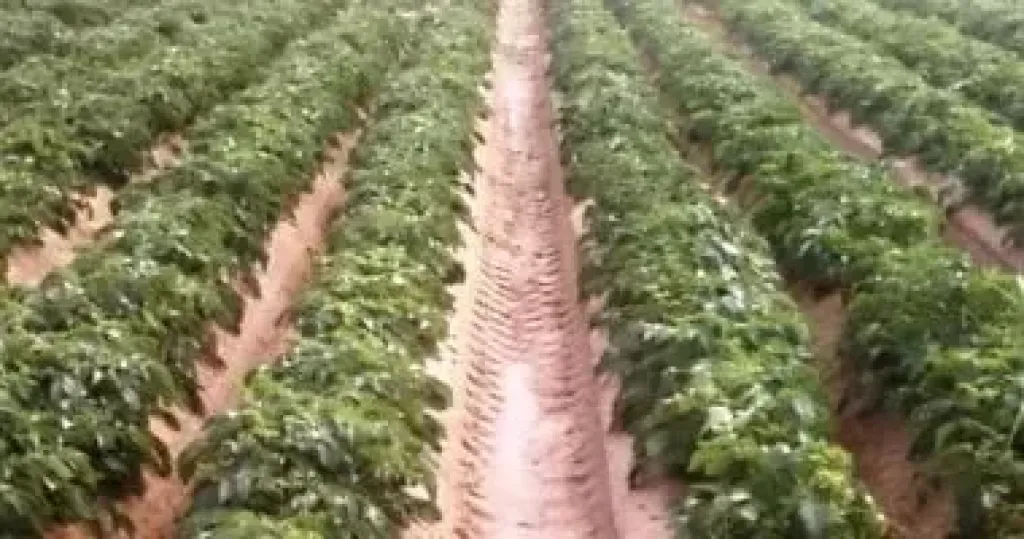 معلومات المناخ