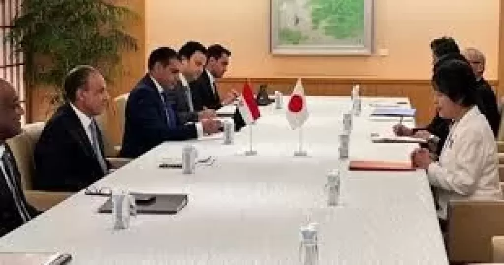 عبد العاطي ووزير خارجية اليابان 
