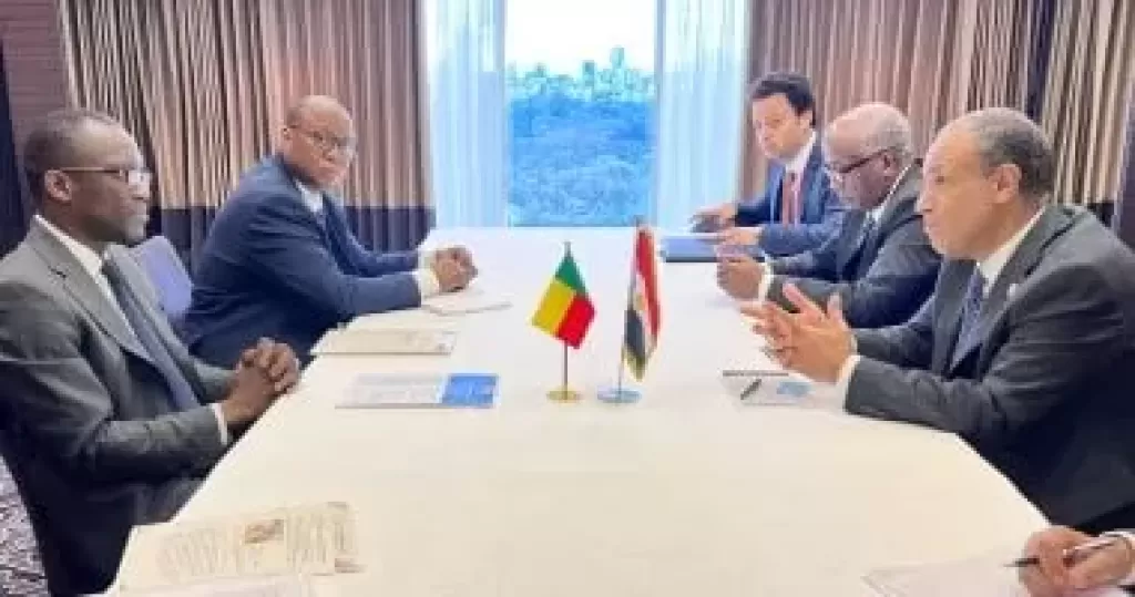 بدر عبد العاطى ووزير خارجية بنين