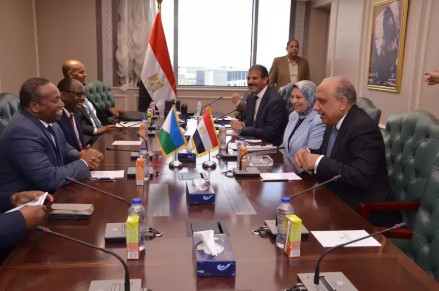 وزير الكهرباء 