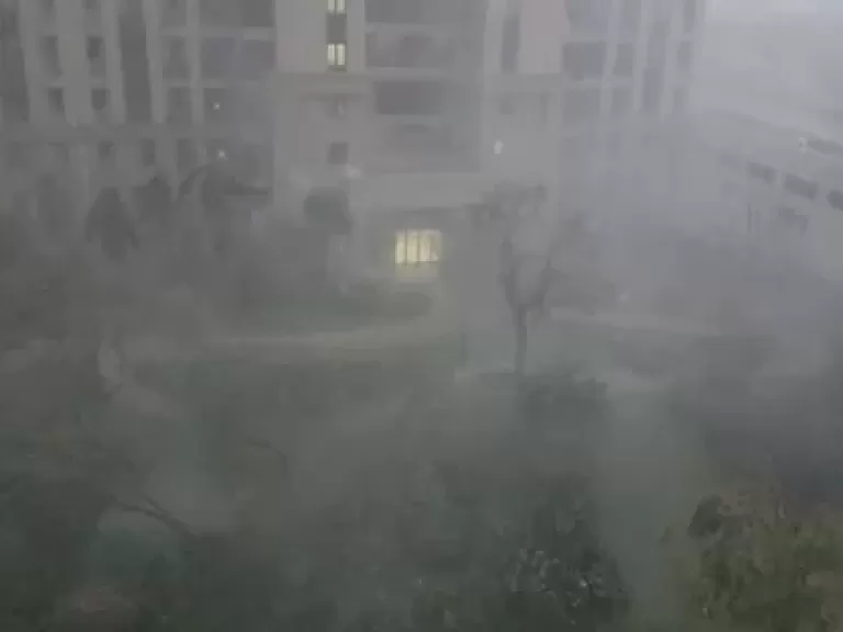 اعصار باجى 