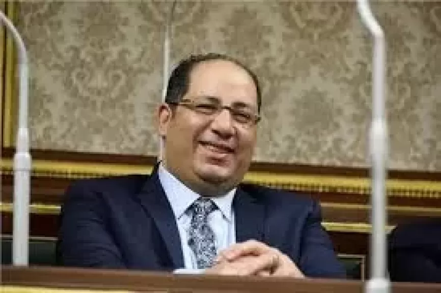 النائب احمد نوصير