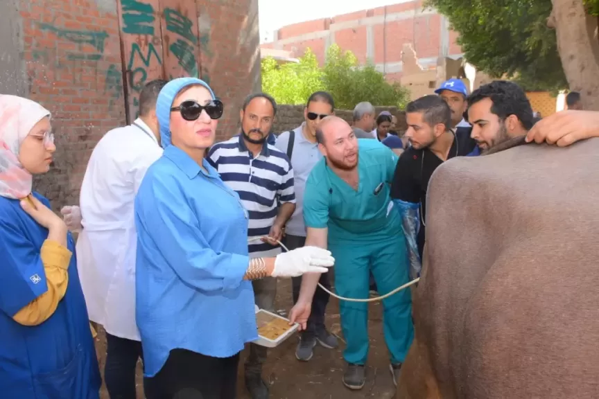 جانب من القافلة البيطرية 