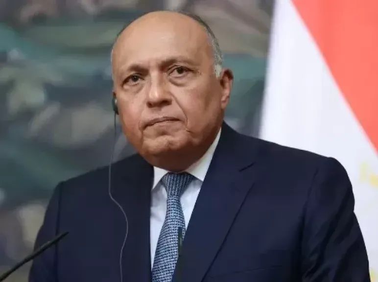 سامح شكرى