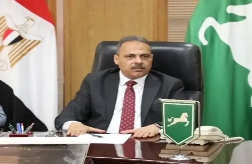 المهندس حازم الأشمونى