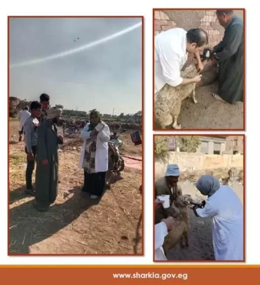جانب من التحصينات 