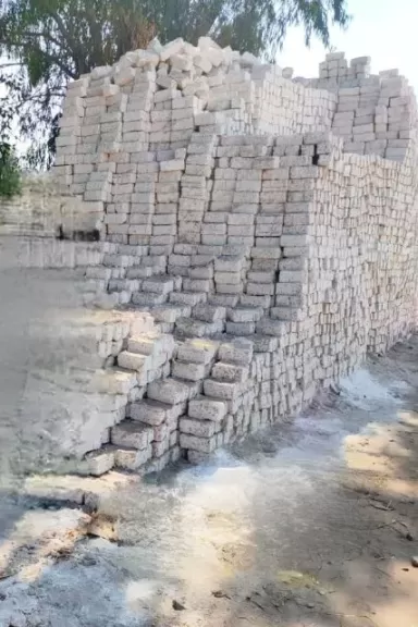 جانب من المضبوطات 