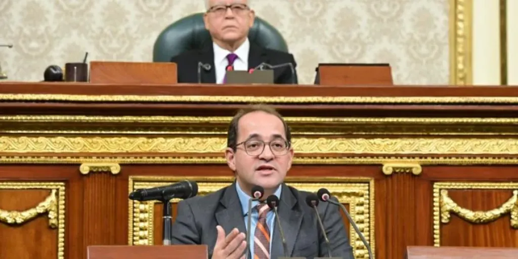 وزير المالية أمام مجلس النواب 