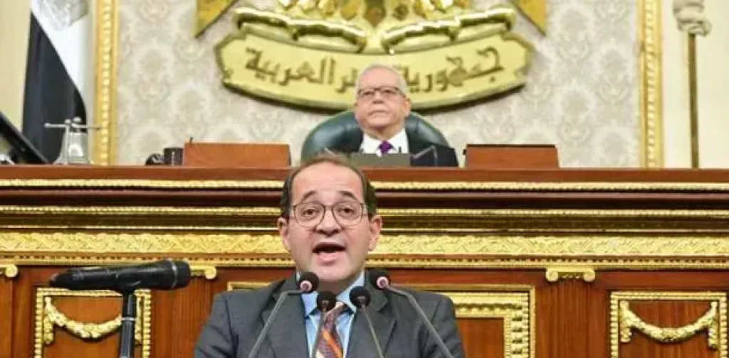 وزير المالية بمجلس النواب 