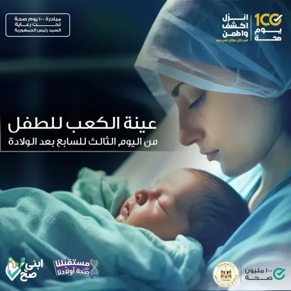 شار الحملة 