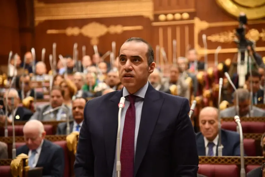 المستشار محمود فوزى