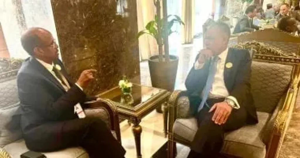 وزيرا خارجية مصر وجيبوتى