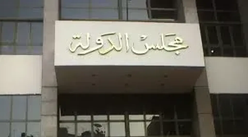 القضاء الاداري 