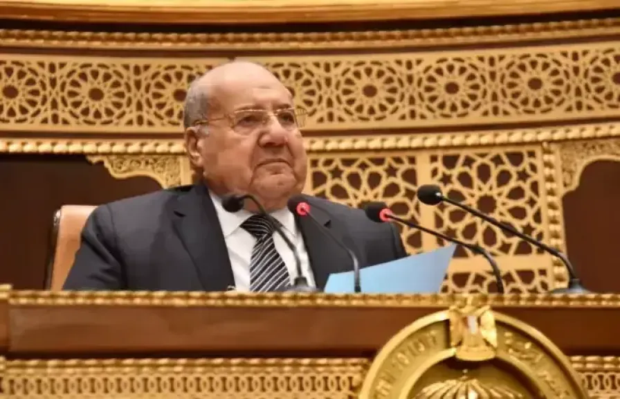  المستشار عبد الوهاب عبد الرازق