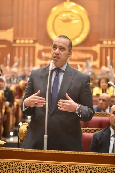 المستشار محمود فوزي 