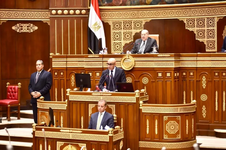  وزير التعليم يستعرض رؤية وخطة وزارة التعليم امام مجلس الشيوخ 