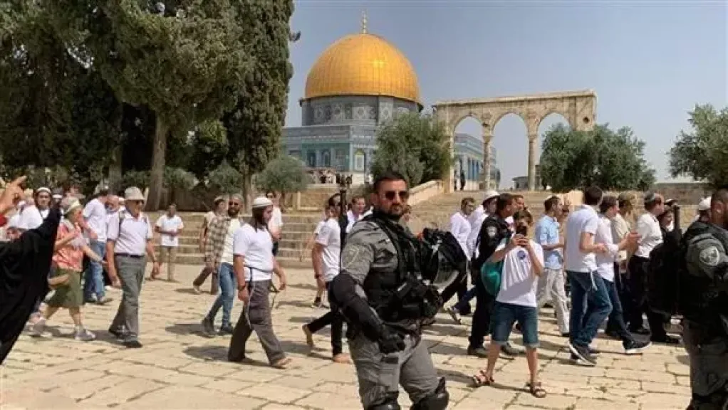 اليهود المتشددين 