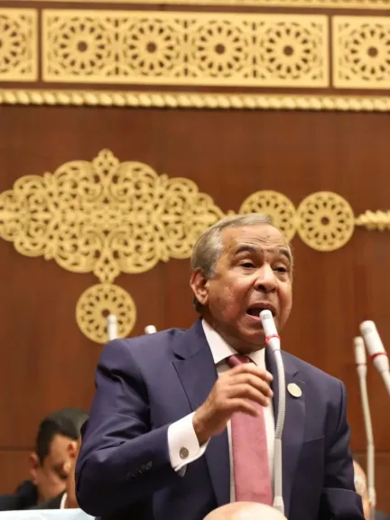 النائب طارق رسلان