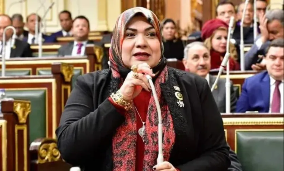 النائبة أمل زكريا