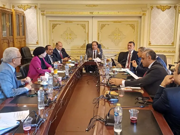 لجنة الشؤون الإفريقية بمجلس النواب 