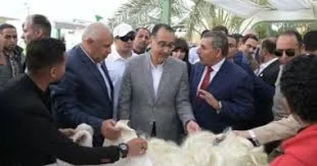مدبولي 