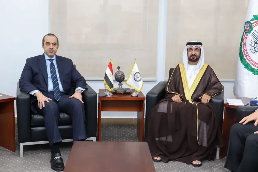 اليماحي والمستشار محمود فوزي 