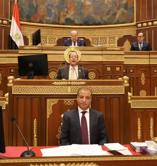 مجلس الشيوخ 