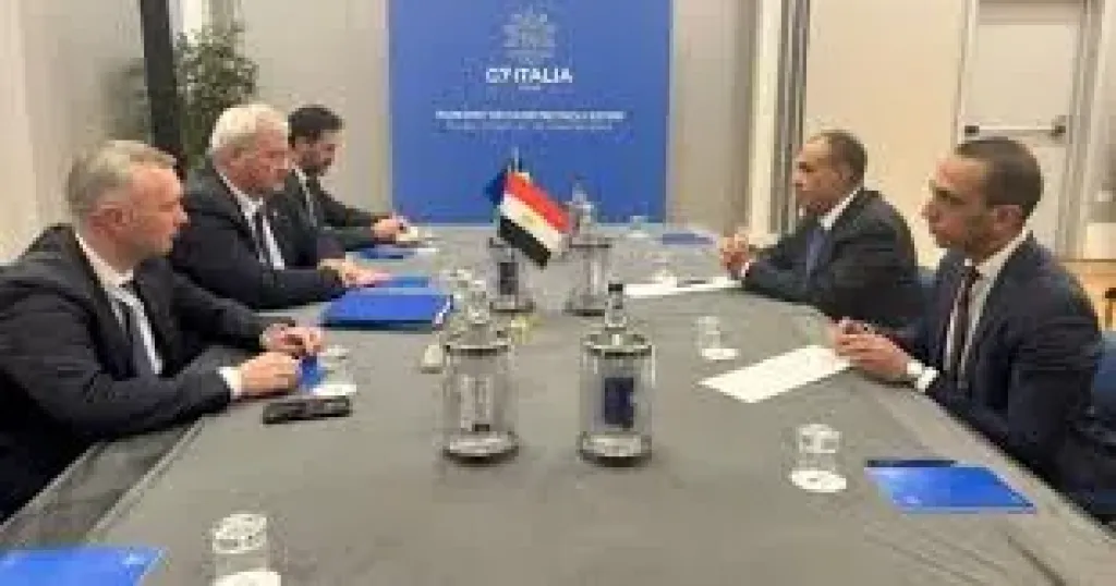 وزيرا الخارجية المصري و الاوكراني 