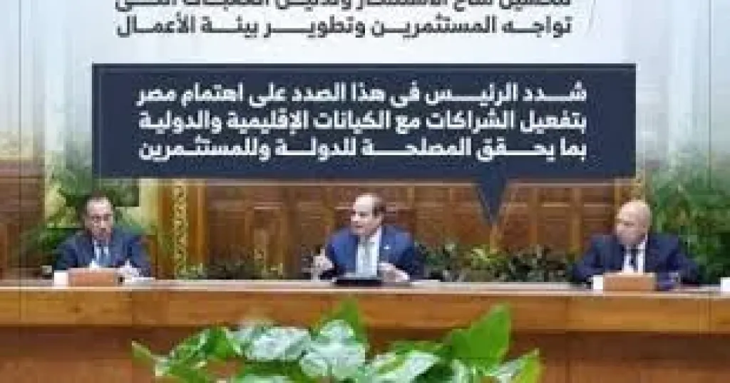 السيسي 