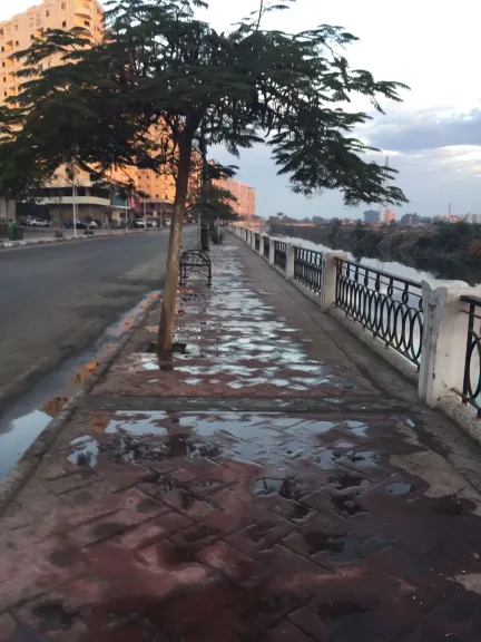 جانب من التجمبل 