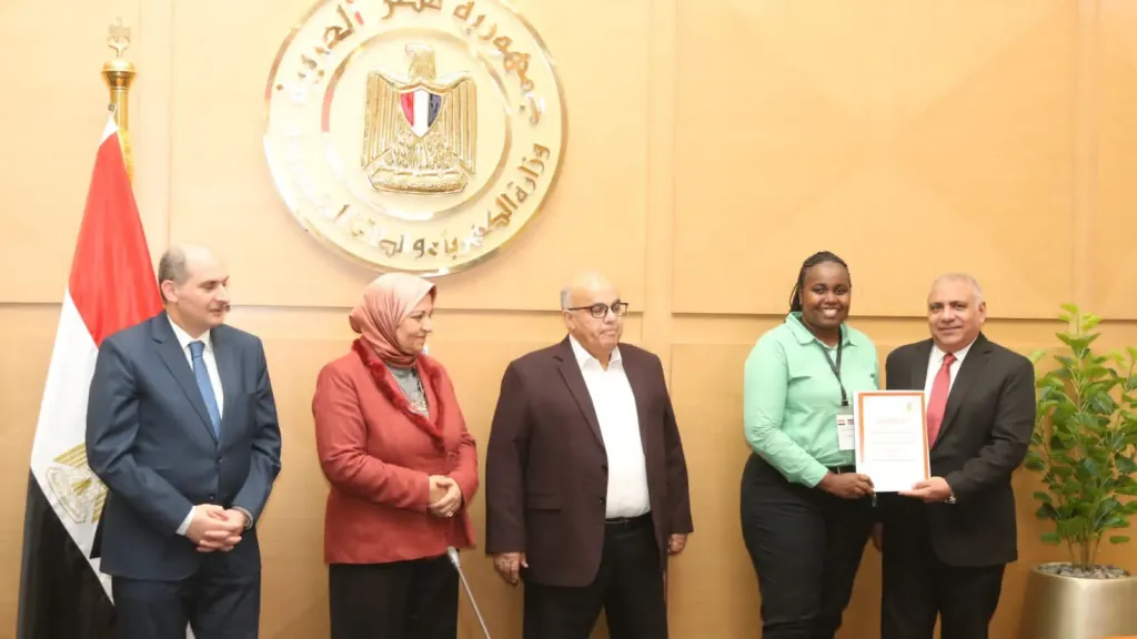 وزير الكهرباء يبحث تعزيز التعاون مع الدول الافريقية