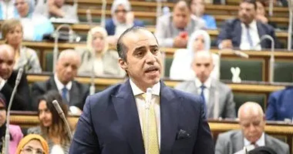 المستشار محمود فوزي، وزير الشؤون النيابية