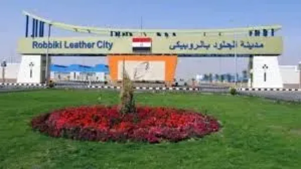 مدينة الروبيكى