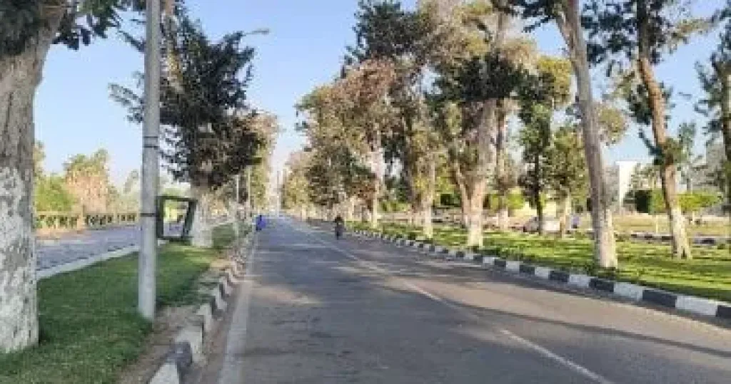 درجات الحرارة اليوم الخميس 12-12-2024 فى القاهرة والمحافظات