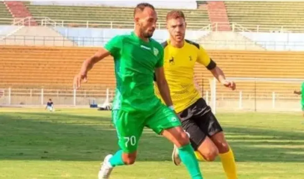 دورى المحترفين 