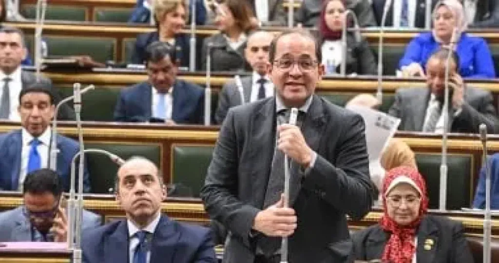 وزير المالية أحمد كجوك