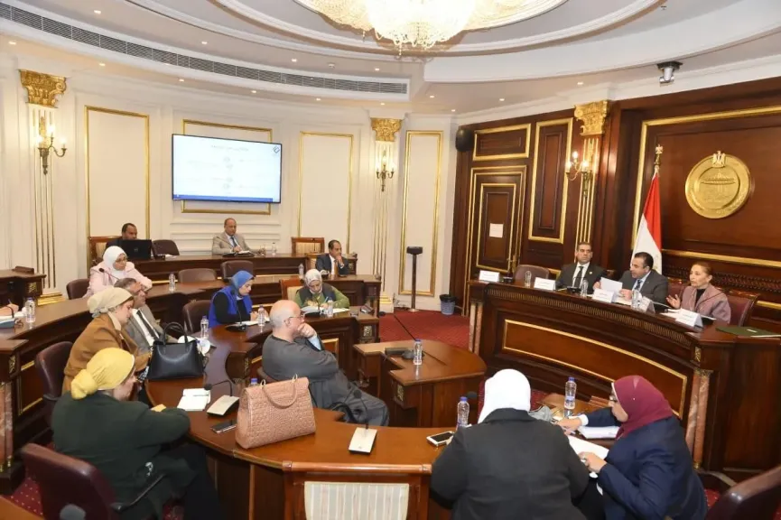  مصر للمعلوماتية القلب النابض لواحة التكنولوجيا 