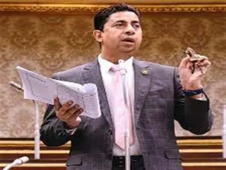 النائب اشرف الشبراوى
