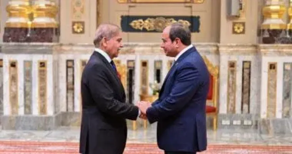 رئيس الوزراء الباكستاني شهباز شريف