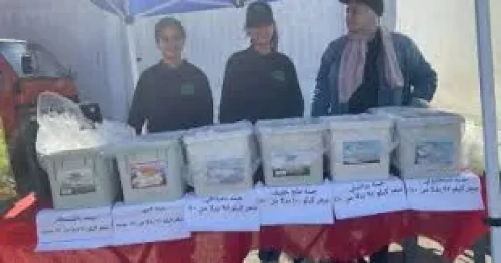 سوق اليوم الواحد بإمبابة 