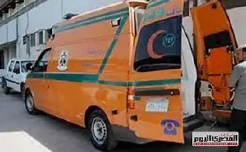ارشيفية 