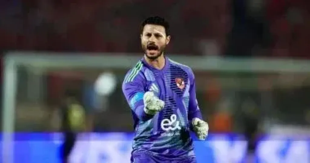 محمد الشناوي 