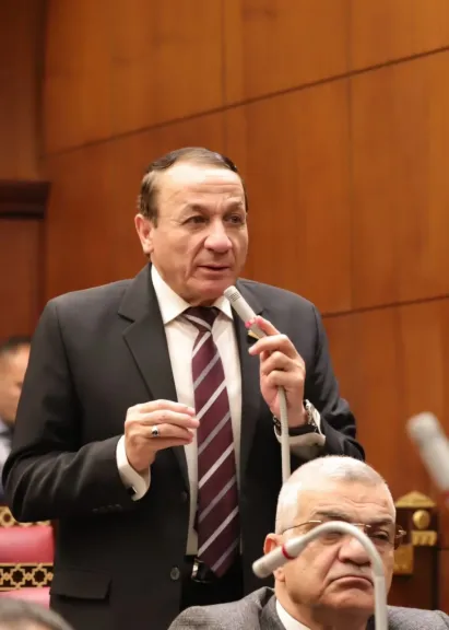 اللواء أيمن عبد المحسن، رئيس الهيئة البرلمانية لحزب حماة الوطن بمجلس الشيوخ