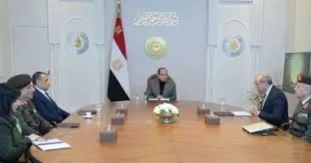 السيسي