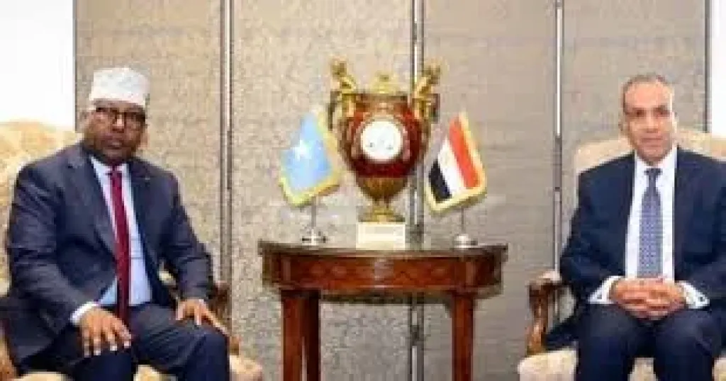 وزير الخارجية ونظيرة الصومالي 