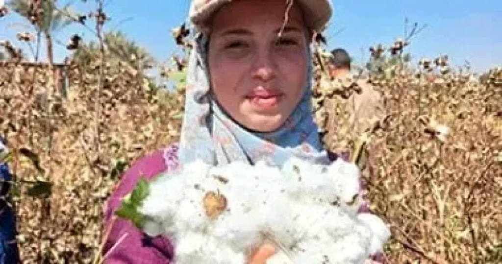 الزراعة