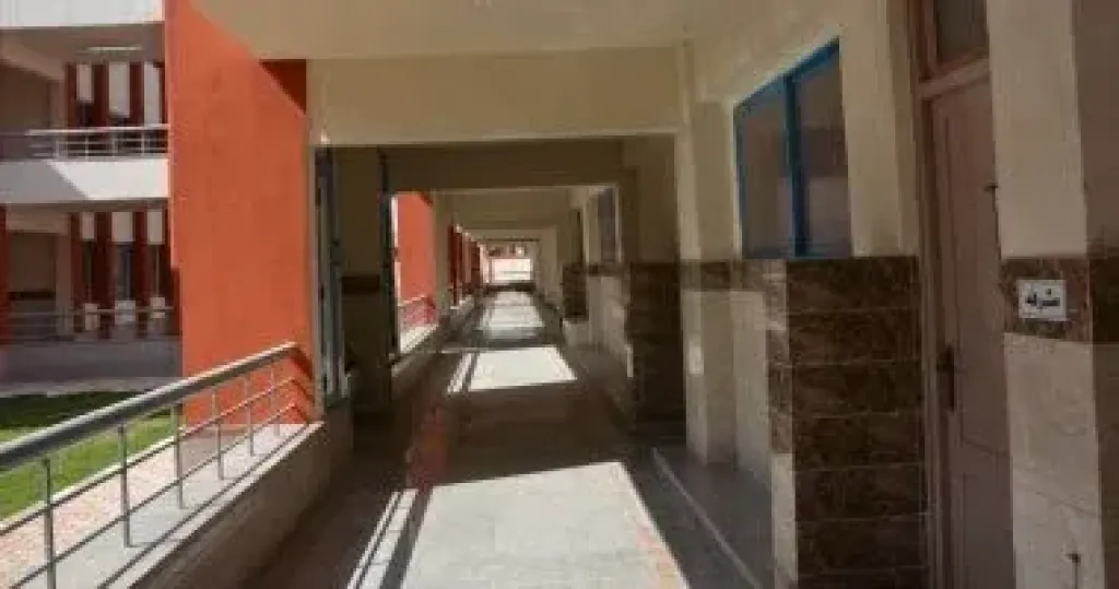 المدارس المصرية اليابانية