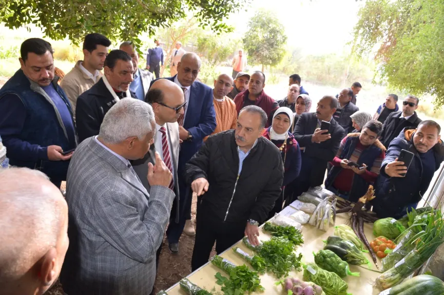 محافظ أسيوط 
