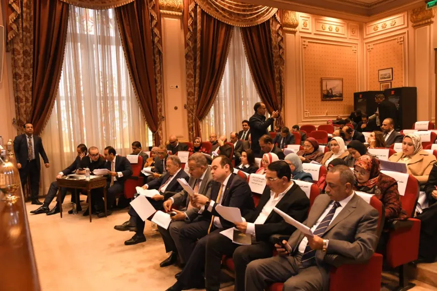 جانب من اللقاء 